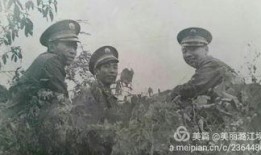 七十四分队在线观看,在线重温那段激情燃烧的岁月